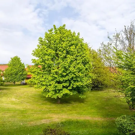 Feriendorf Rugana - Budget Appartement Mit 1 Schlafzimmer A39 Dranske Exterior photo