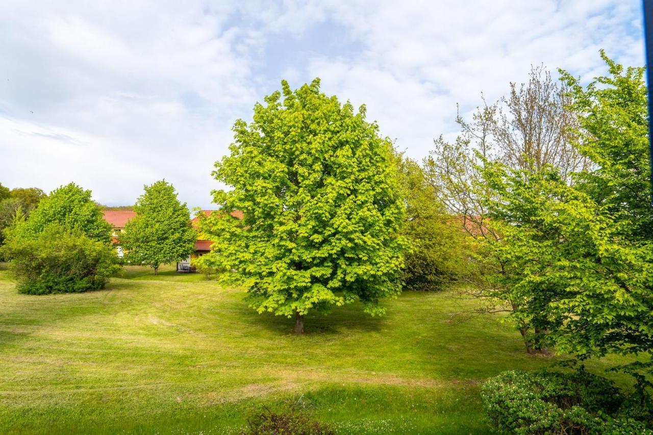 Apartment Rugana - Budget Mit 1 Schlafzimmer A39 *